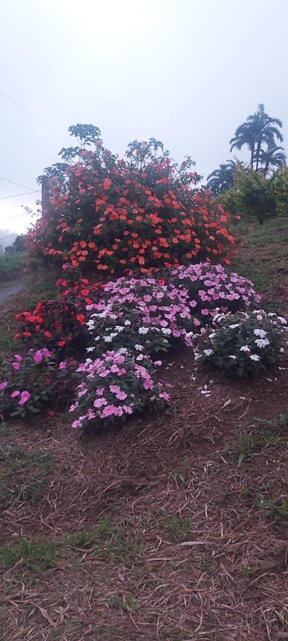 El Rincon De Las Flores Bajo Tigre Exterior photo